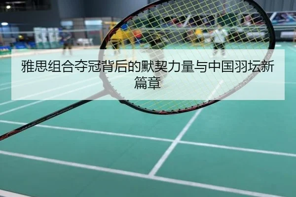 雅思组合夺冠背后的默契力量与中国羽坛新篇章