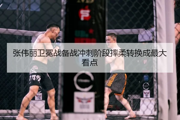 张伟丽卫冕战备战冲刺阶段摔柔转换成最大看点